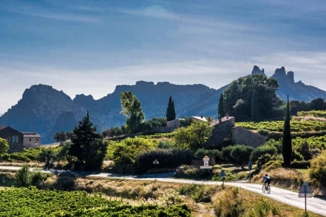 Ciclismo y vino: la dupla que crece en las rutas del planeta