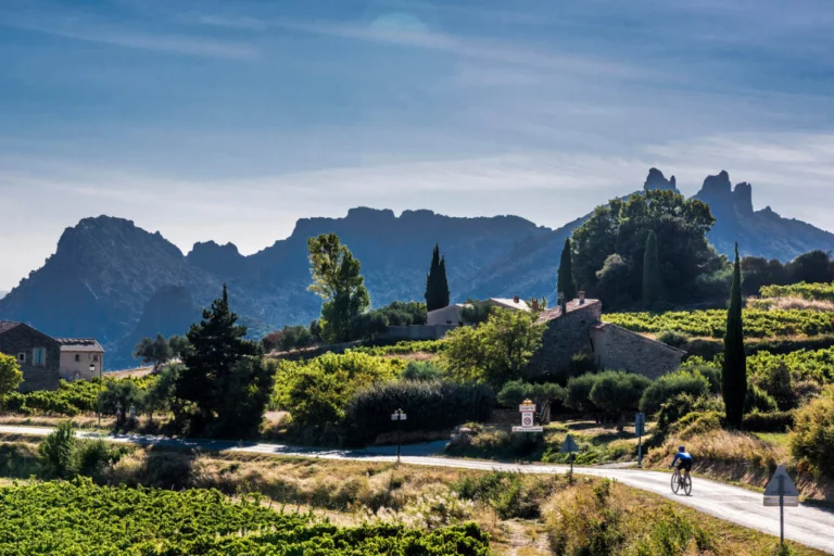 Ciclismo y vino: la dupla que crece en las rutas del planeta