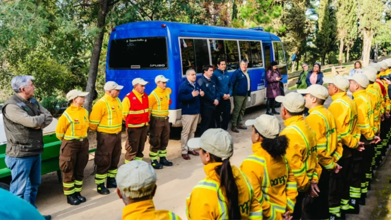 Maule anticipa brigadas forestales: cinco aeronaves y 80 km de cortafuegos para Fiestas Patrias