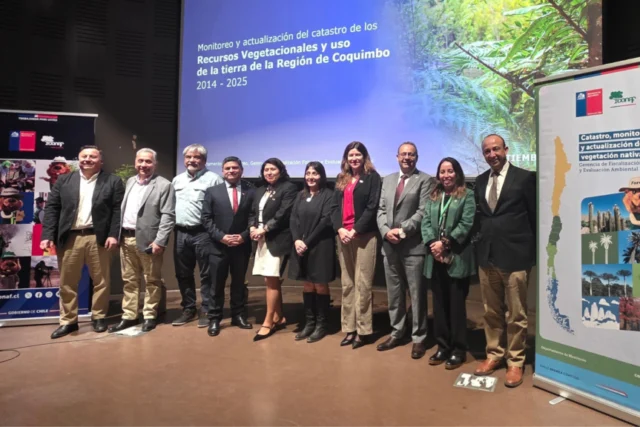 Catastro revela 138 mil hectáreas de bosque nativo en Coquimbo y dónde verlos