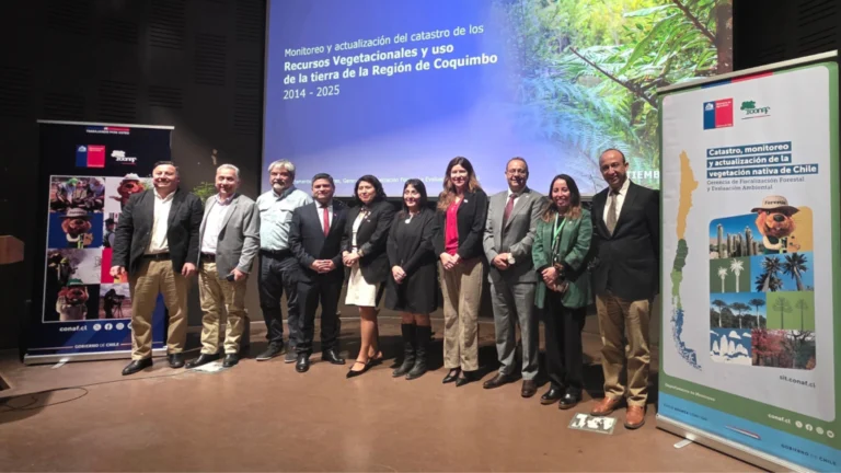 Catastro revela 138 mil hectáreas de bosque nativo en Coquimbo y dónde verlos