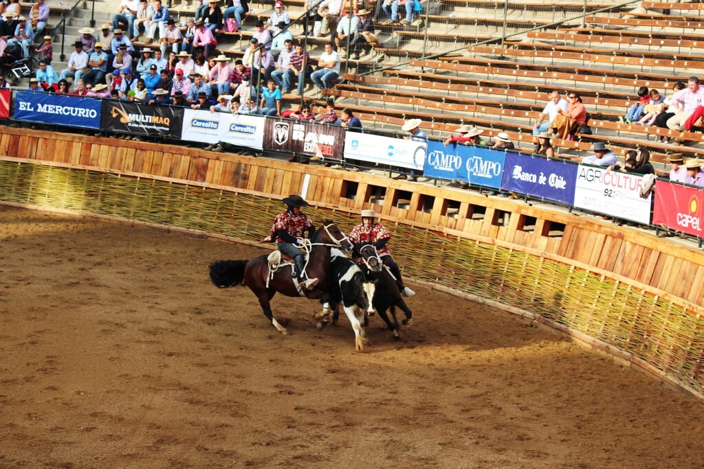 78° Campeonato Nacional de Rodeo (Champion de Chile 2027)