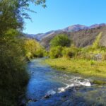 Alto del Carmen