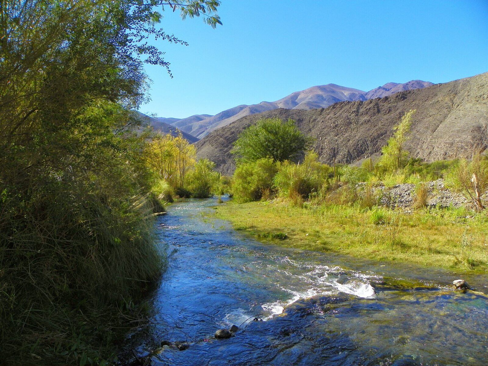 Alto del Carmen