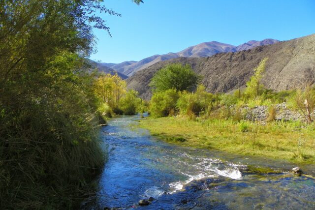 Alto del Carmen