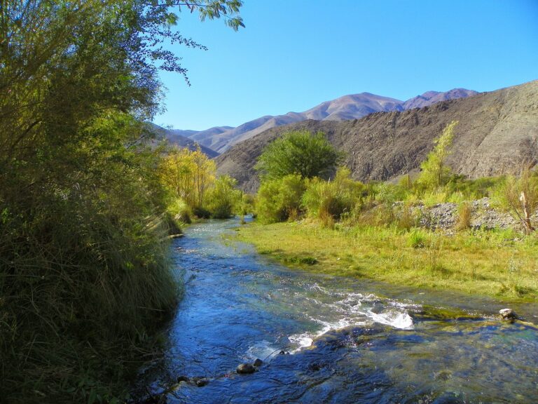 Alto del Carmen