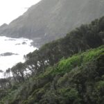 Área Costera Protegida Punta Curiñanco