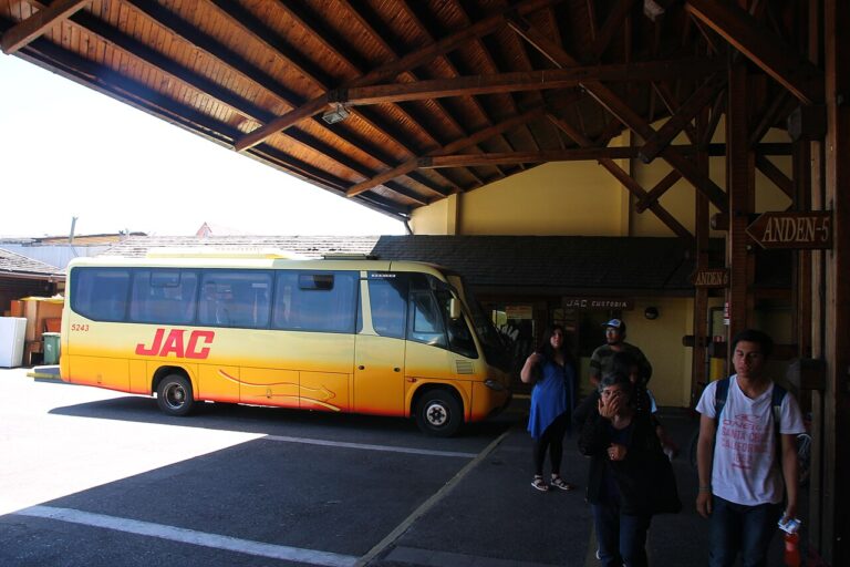 Buses JAC