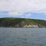 Cabo Froward