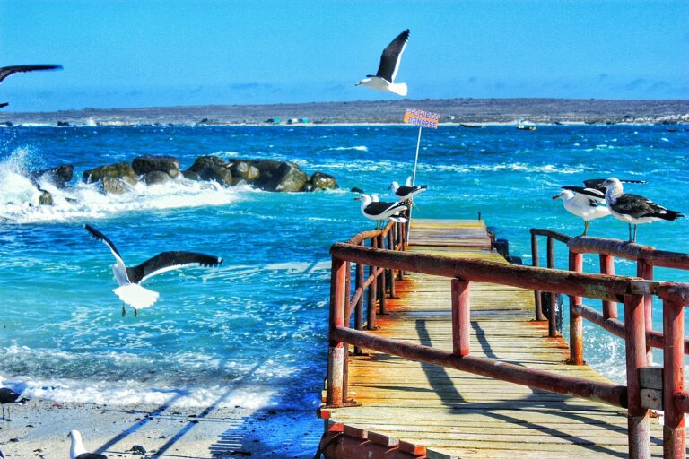 Caleta Punta de Choros