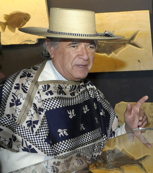 Carlos Cardoen Cornejo