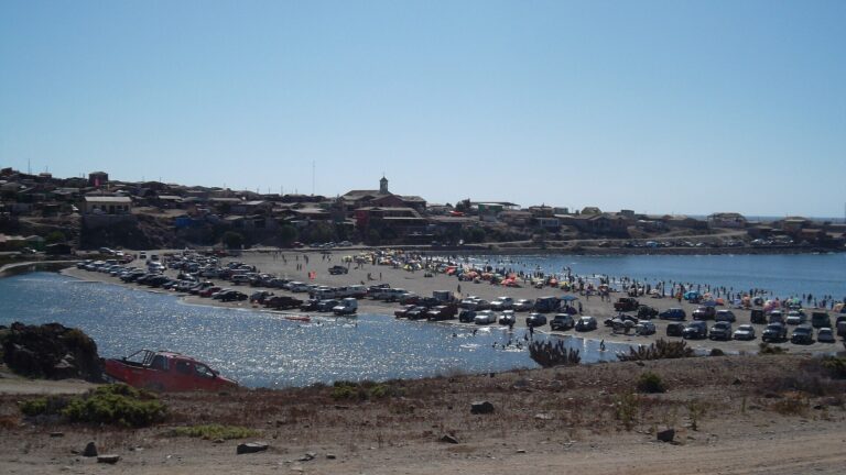 Carrizal Bajo
