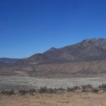 Carrizalillo