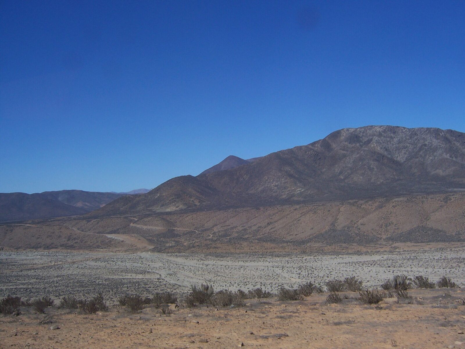 Carrizalillo
