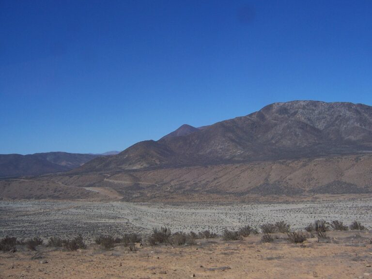 Carrizalillo