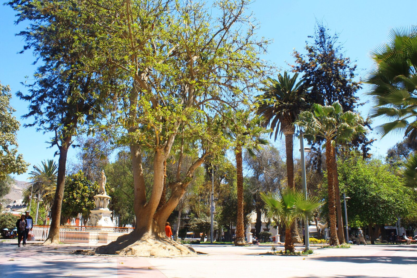 Centro histórico de Copiapó