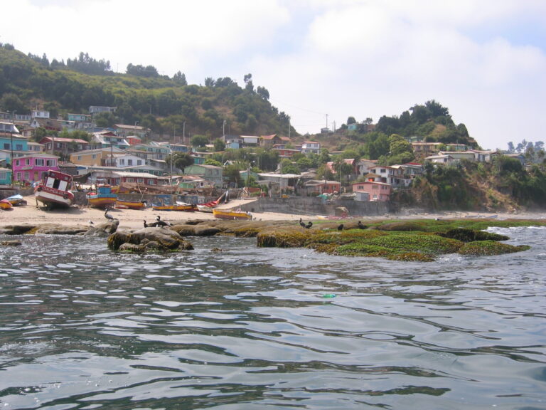 Cocholgüe