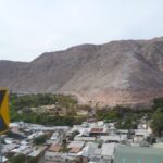Codpa