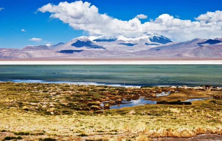 Complejo Lacustre Laguna del Negro Francisco y Laguna Santa Rosa