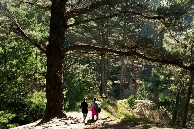 Trekking en Concepción: cuatro rutas entre cerros, bosques y playa