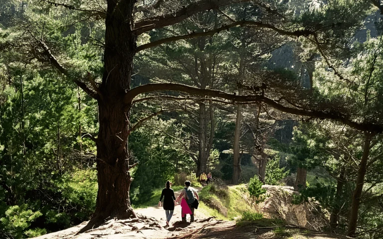 Trekking en Concepción: cuatro rutas entre cerros, bosques y playa