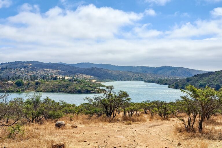 Embalse Los Aromos