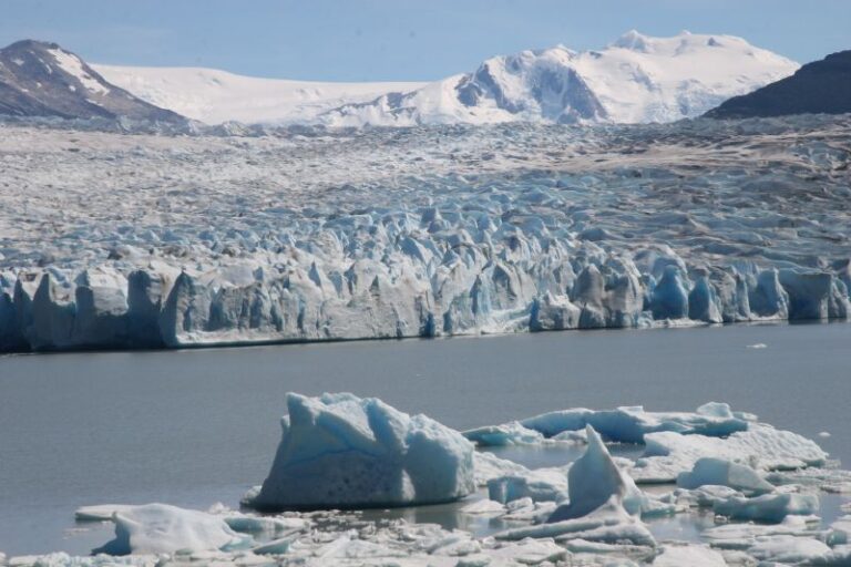 Glaciar Grey