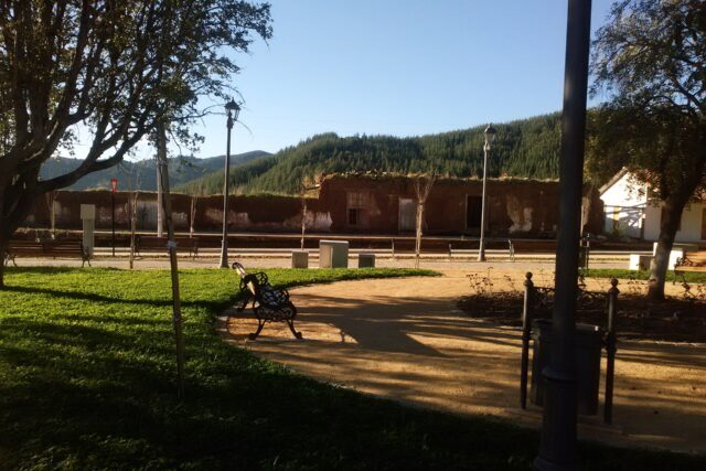 Huerta de Maule