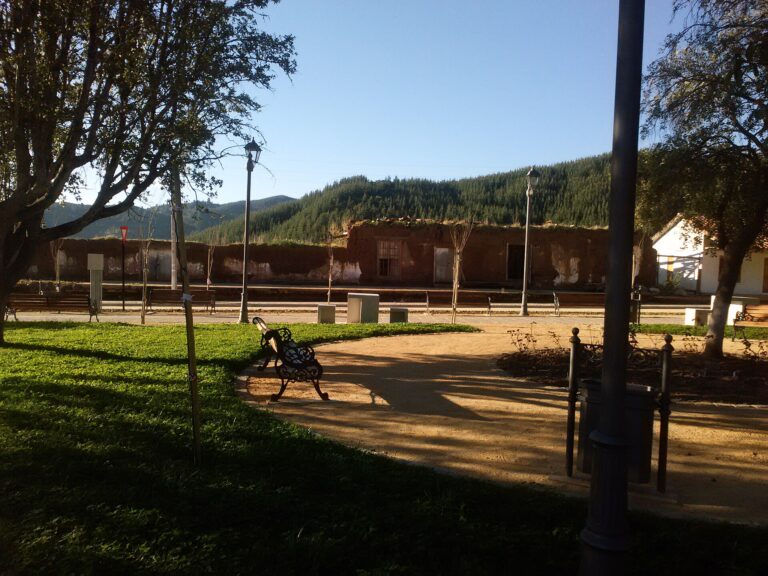 Huerta de Maule
