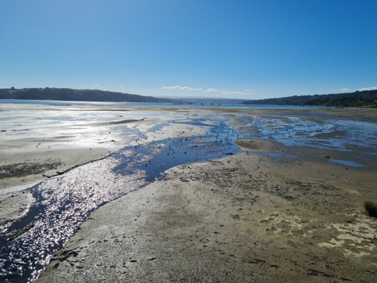 Humedales orientales de Chiloé