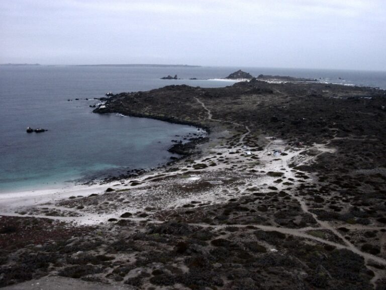 Isla Damas