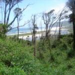 Isla Grande de Chiloé
