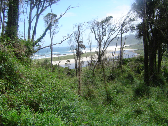 Isla Grande de Chiloé