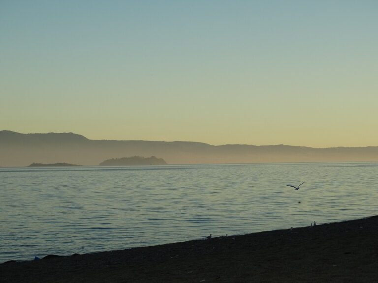 Isla Huapi
