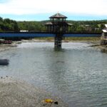Isla Mechuque