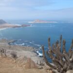 Isla Pan de Azúcar
