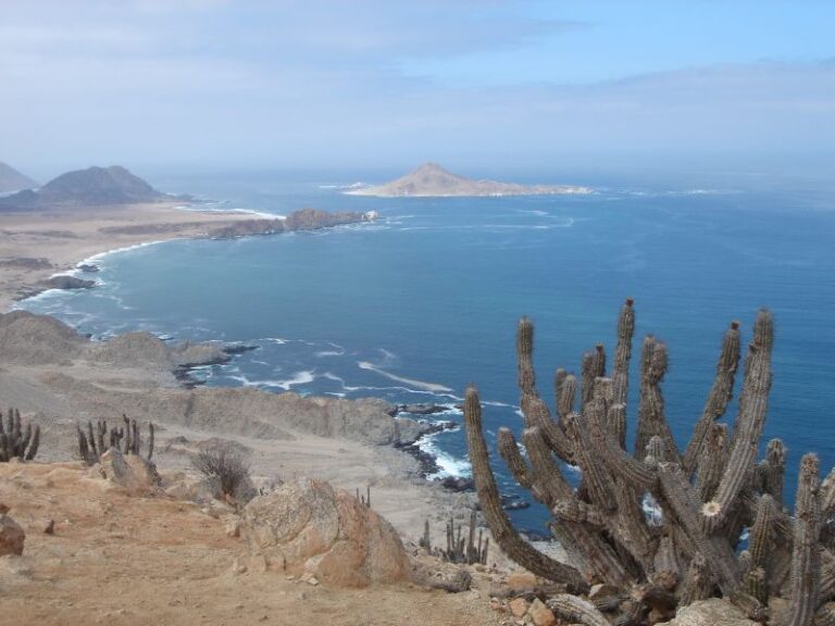 Isla Pan de Azúcar
