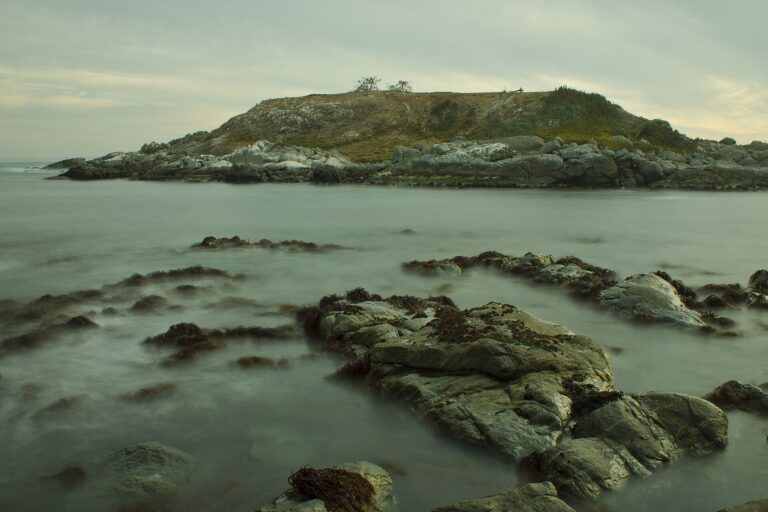Isla de Cachagua