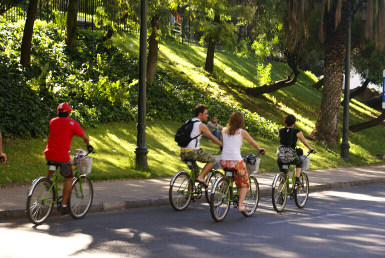 La Bicicleta Verde