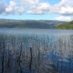 Lago Lleulleu