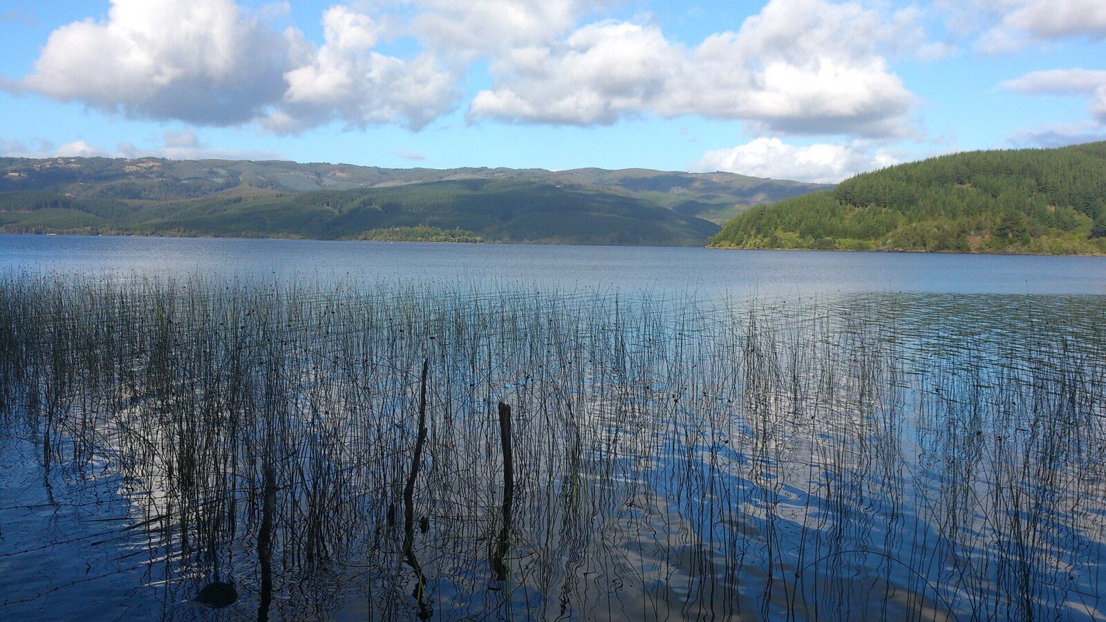 Lago Lleulleu