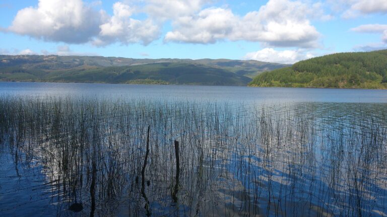 Lago Lleulleu