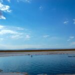 Laguna Cejar