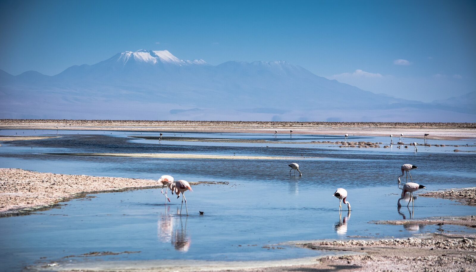 Laguna Chaxa