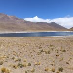 Laguna Miñiques