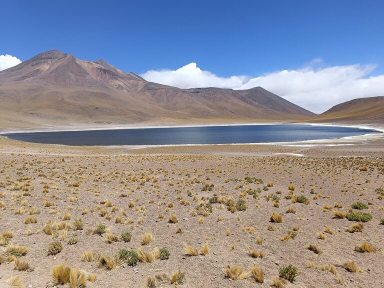 Laguna Miñiques