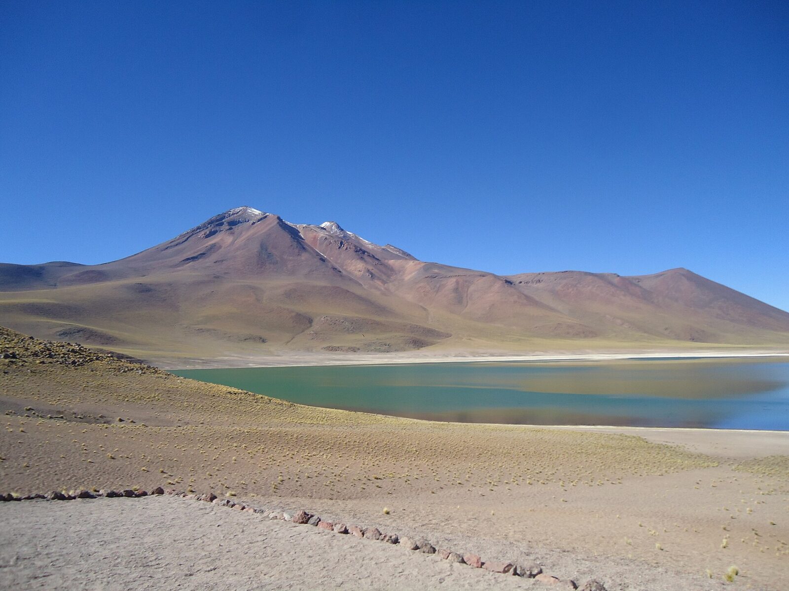 Lagunas Altiplánicas Miscanti y Miñiques