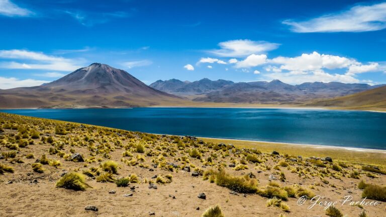 Lagunas Miscanti y Miñiques