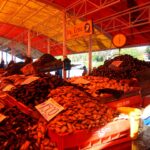 Mercado y Feria Fluvial de Valdivia