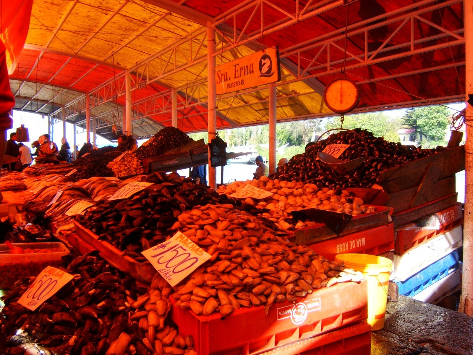 Mercado y Feria Fluvial de Valdivia